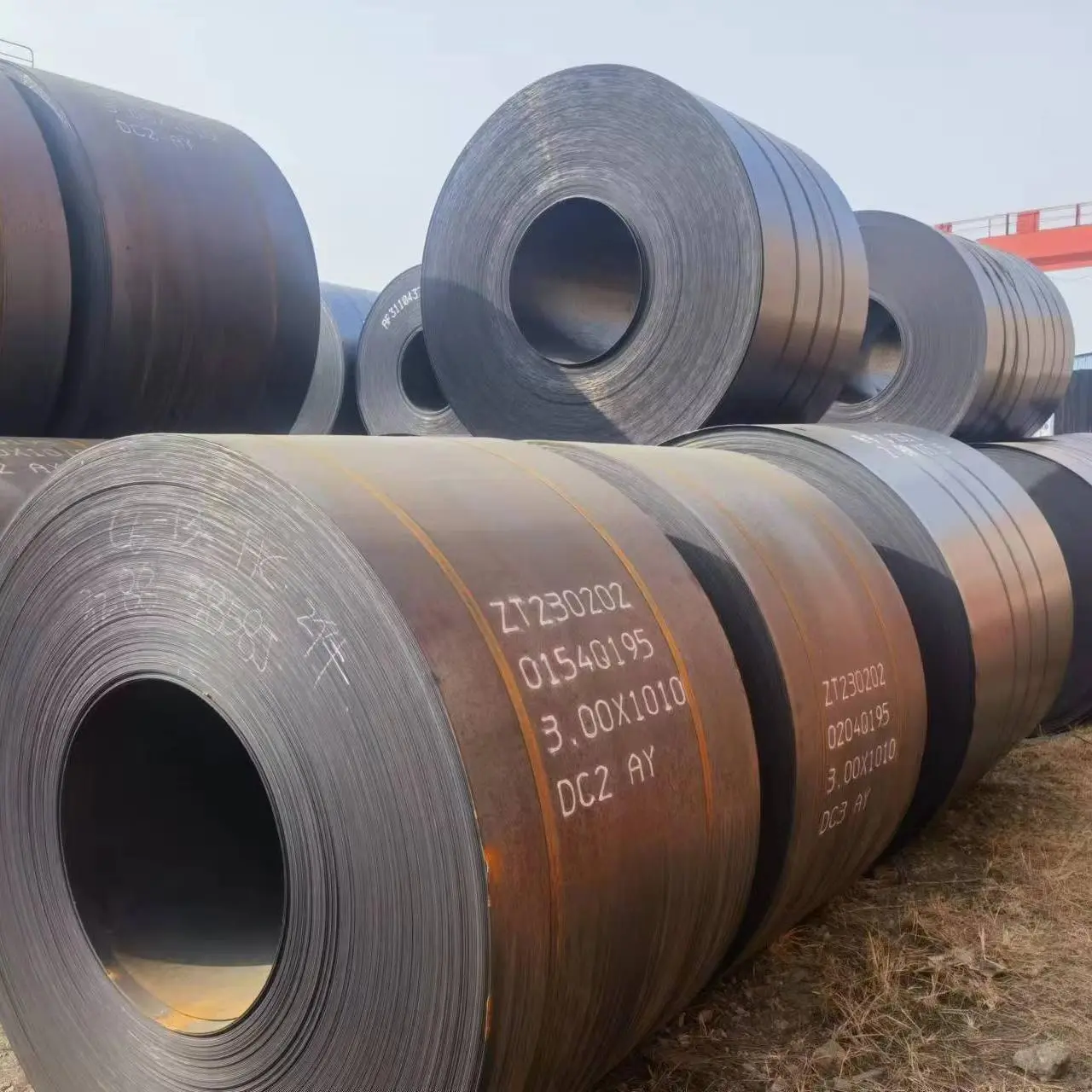 Carbon Steel Coil (20).jpg